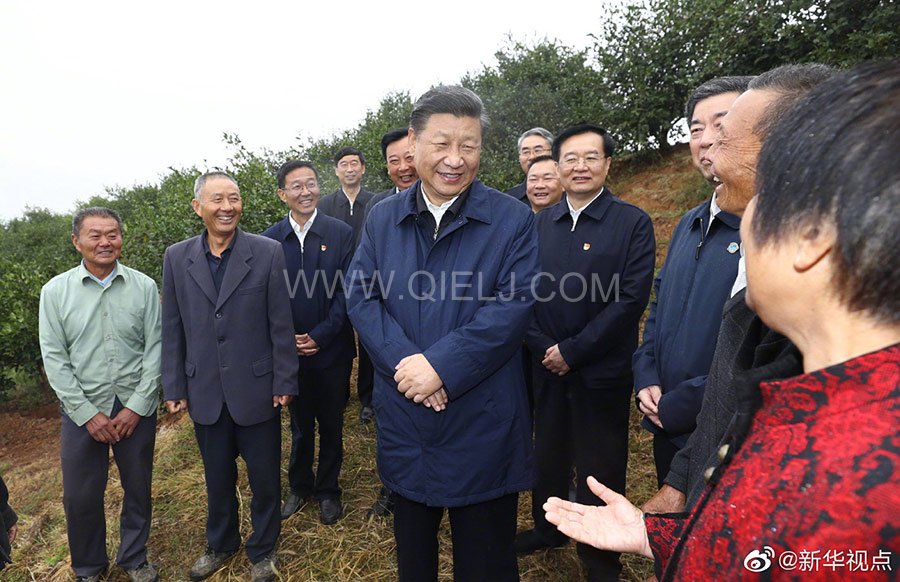 光山油茶籽榨油設(shè)備，山茶籽油榨油機(jī)廠家(圖2)