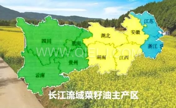 濃香菜籽油成套設備，企鵝糧油機械品質(zhì)出眾(圖1)